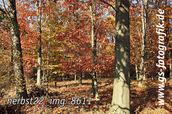 Bild in den Warenkorb legen Bild in den Warenkorb legen