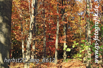 Bild in den Warenkorb legen Bild in den Warenkorb legen