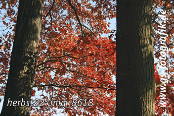 Bild in den Warenkorb legen Bild in den Warenkorb legen