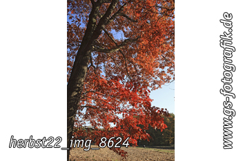 Bild in den Warenkorb legen Bild in den Warenkorb legen