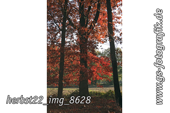 Bild in den Warenkorb legen Bild in den Warenkorb legen