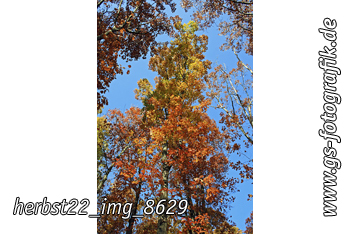 Bild in den Warenkorb legen Bild in den Warenkorb legen