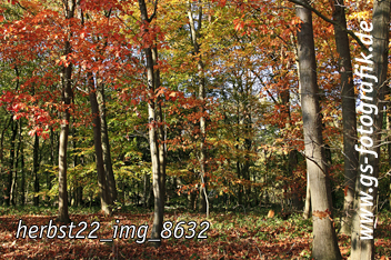 Bild in den Warenkorb legen Bild in den Warenkorb legen