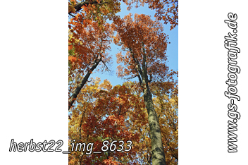 Bild in den Warenkorb legen Bild in den Warenkorb legen