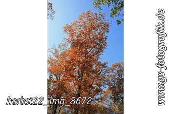 Bild in den Warenkorb legen Bild in den Warenkorb legen