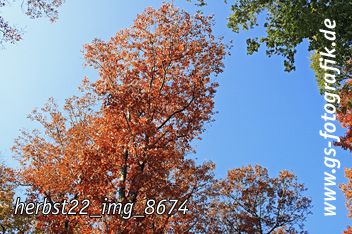 Bild in den Warenkorb legen Bild in den Warenkorb legen