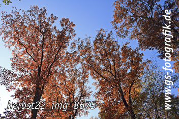 Bild in den Warenkorb legen Bild in den Warenkorb legen