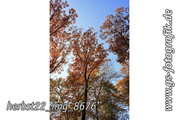 Bild in den Warenkorb legen Bild in den Warenkorb legen