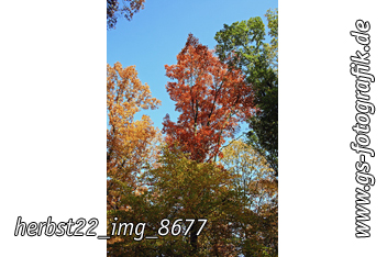 Bild in den Warenkorb legen Bild in den Warenkorb legen