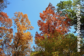 Bild in den Warenkorb legen