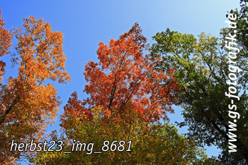 Bild in den Warenkorb legen