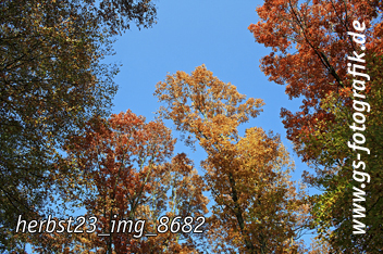 Bild in den Warenkorb legen