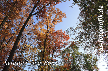 Bild in den Warenkorb legen