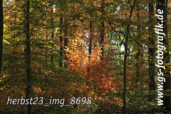 Bild in den Warenkorb legen