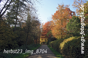 Bild in den Warenkorb legen