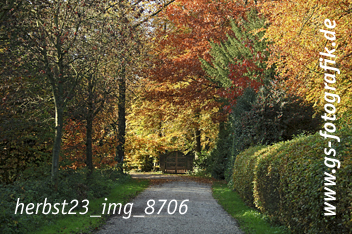 Bild in den Warenkorb legen