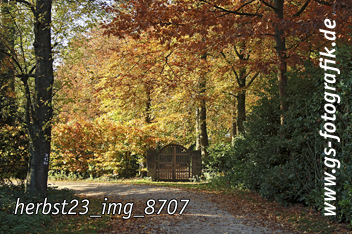 Bild in den Warenkorb legen