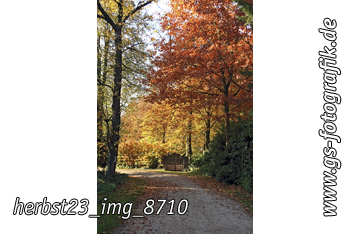 Bild in den Warenkorb legen