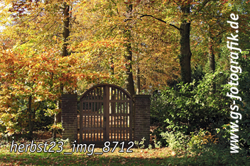 Bild in den Warenkorb legen