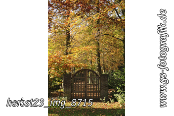 Bild in den Warenkorb legen