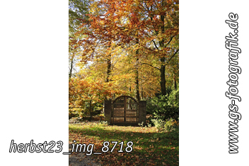 Bild in den Warenkorb legen