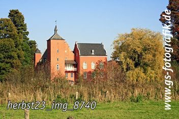 Bild in den Warenkorb legen