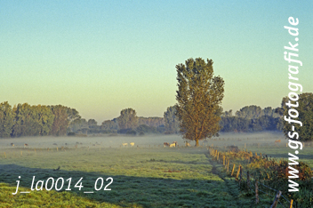 Bild in den Warenkorb legen Bild in den Warenkorb legen