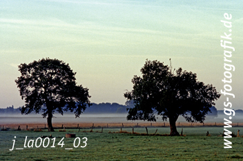 Bild in den Warenkorb legen Bild in den Warenkorb legen