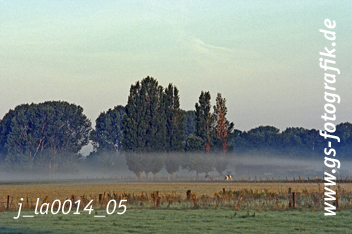 Bild in den Warenkorb legen Bild in den Warenkorb legen