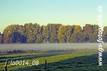 Bild in den Warenkorb legen Bild in den Warenkorb legen