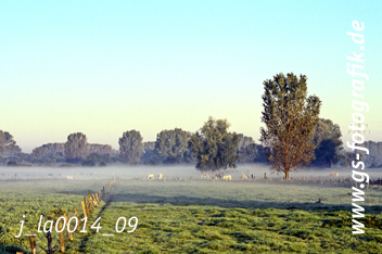 Bild in den Warenkorb legen Bild in den Warenkorb legen