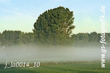 Bild in den Warenkorb legen Bild in den Warenkorb legen