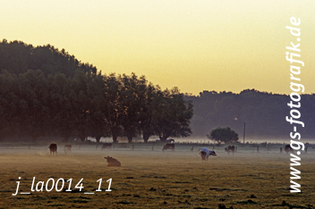 Bild in den Warenkorb legen Bild in den Warenkorb legen