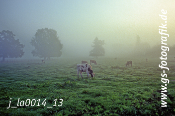 Bild in den Warenkorb legen Bild in den Warenkorb legen