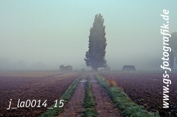 Bild in den Warenkorb legen Bild in den Warenkorb legen