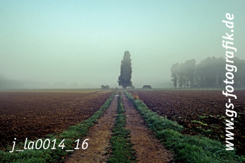 Bild in den Warenkorb legen Bild in den Warenkorb legen