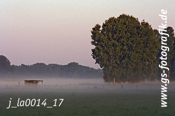 Bild in den Warenkorb legen Bild in den Warenkorb legen