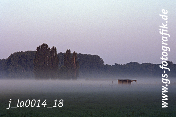 Bild in den Warenkorb legen Bild in den Warenkorb legen