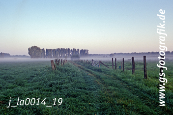 Bild in den Warenkorb legen Bild in den Warenkorb legen