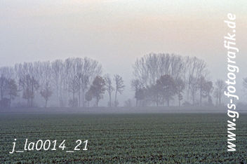 Bild in den Warenkorb legen Bild in den Warenkorb legen