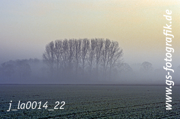 Bild in den Warenkorb legen Bild in den Warenkorb legen