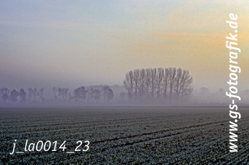 Bild in den Warenkorb legen Bild in den Warenkorb legen