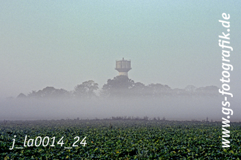 Bild in den Warenkorb legen Bild in den Warenkorb legen
