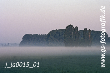 Bild in den Warenkorb legen Bild in den Warenkorb legen