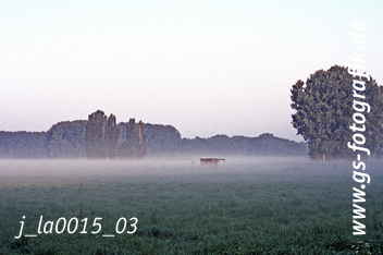 Bild in den Warenkorb legen Bild in den Warenkorb legen