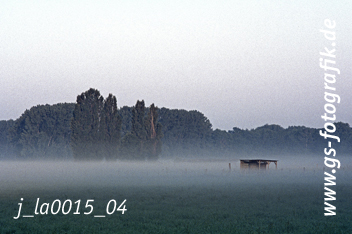 Bild in den Warenkorb legen Bild in den Warenkorb legen