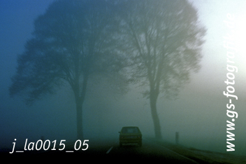 Bild in den Warenkorb legen Bild in den Warenkorb legen