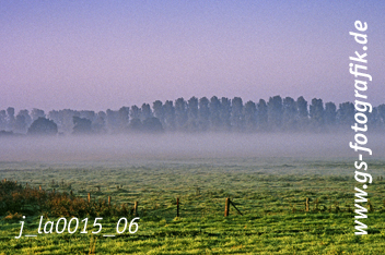 Bild in den Warenkorb legen Bild in den Warenkorb legen