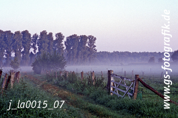 Bild in den Warenkorb legen Bild in den Warenkorb legen