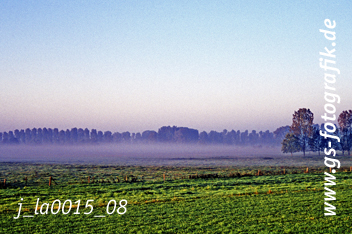 Bild in den Warenkorb legen Bild in den Warenkorb legen